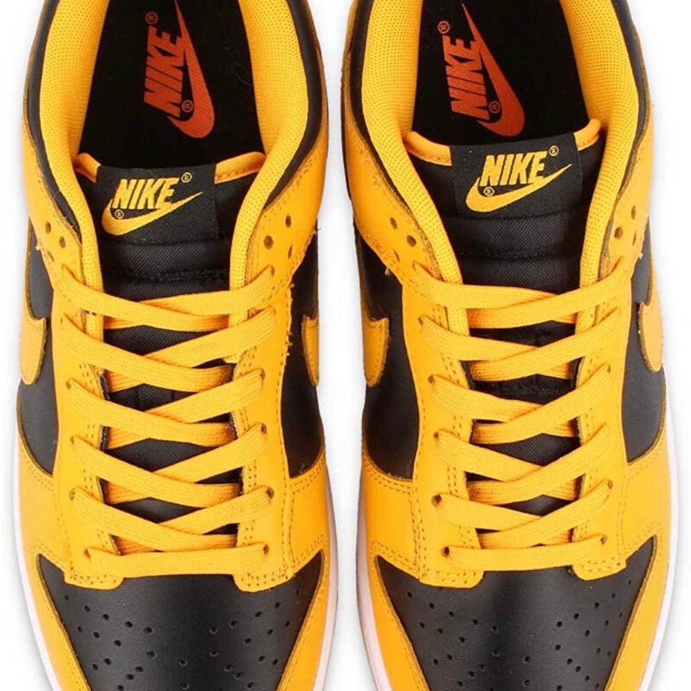 Brand New Nike Dunk Low Retro